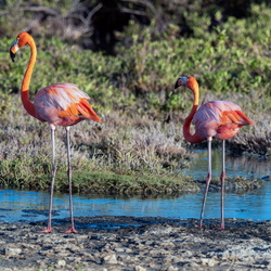 Bonaire 2023