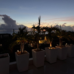 Bonaire-2025